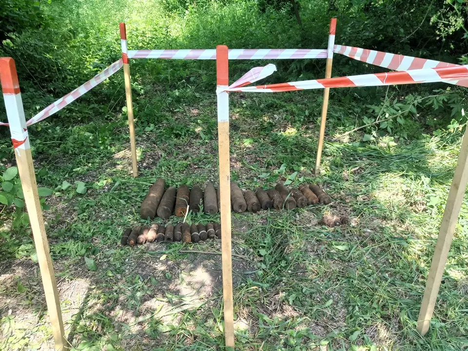 2019-5-30-61393744-661336420956785-5395031278045102080-n.jpg