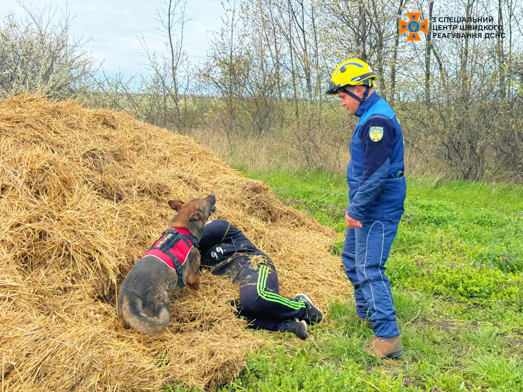 Кінологи відпрацювали пошук людей у природному середовищі